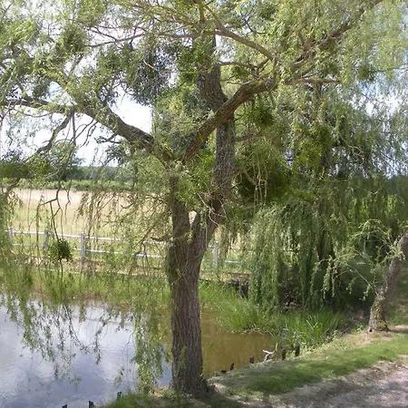 Bed & Breakfast Le Domaine Du Mijarnier 3*